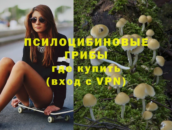 крисы Алексеевка