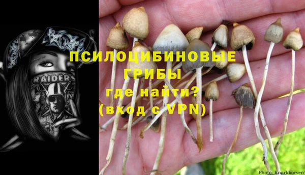 крисы Алексеевка